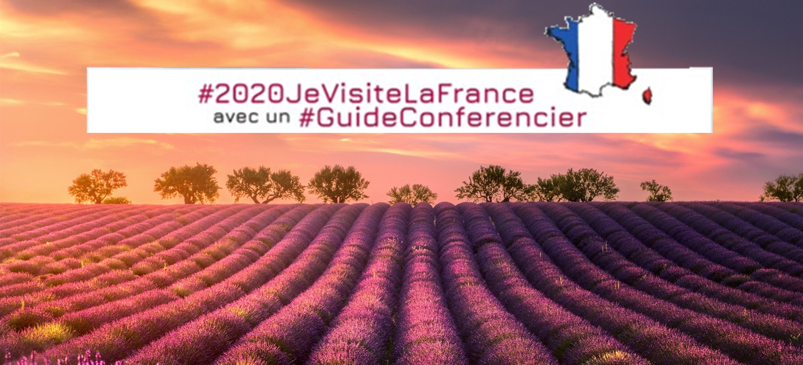 Lavande Provence 2020JeVisiteLaFrance Avec Un GuideConferencier